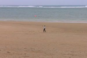Sonatine is a curio.